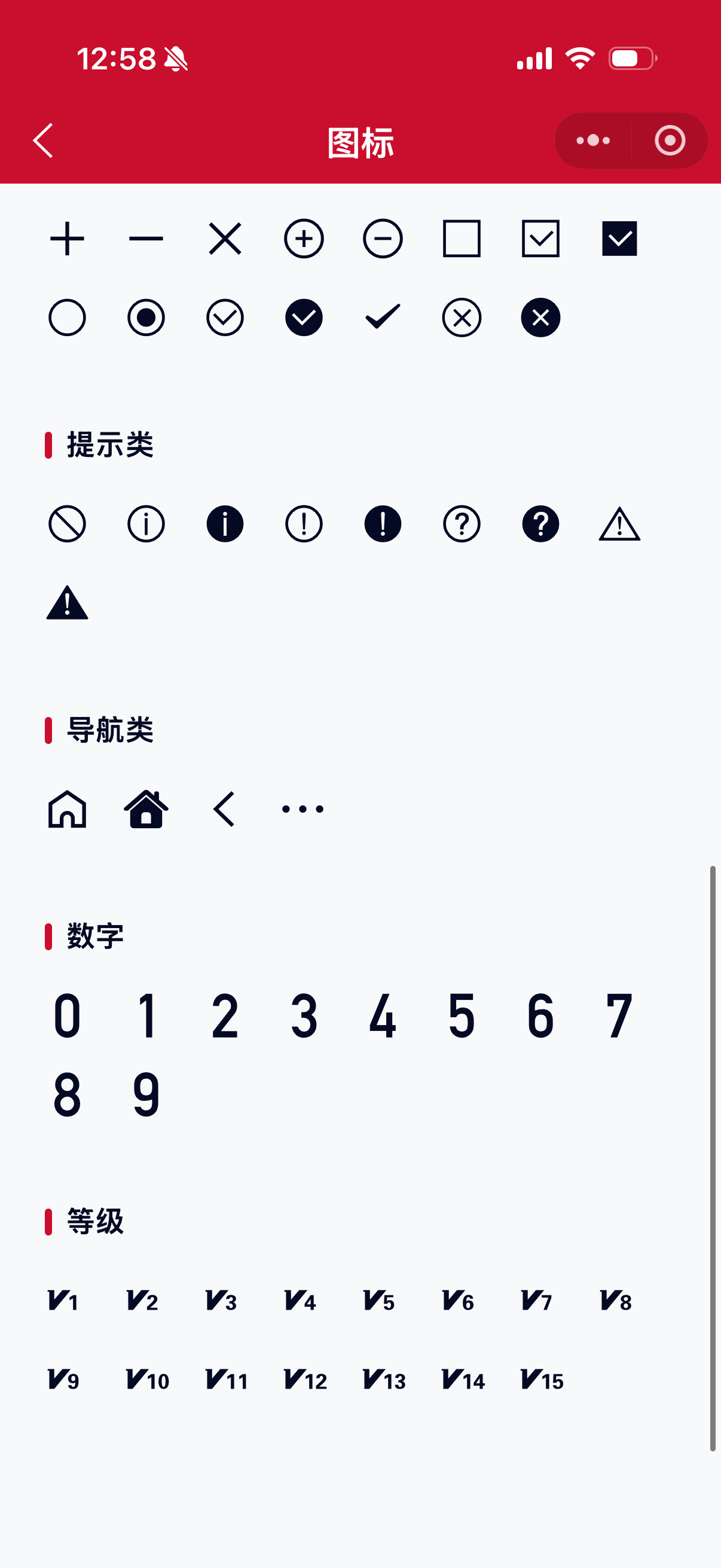 Icon 3