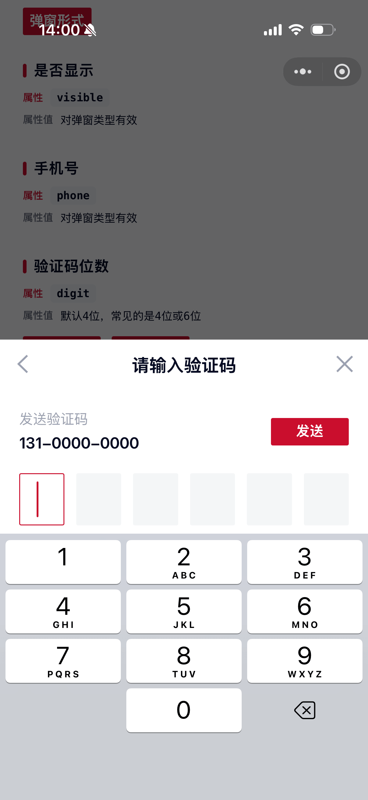 VerificationCode 3